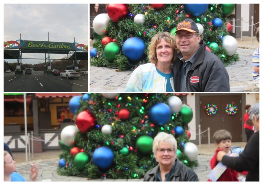 Busch Gardens collage